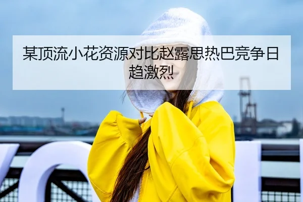 某顶流小花资源对比赵露思热巴竞争日趋激烈